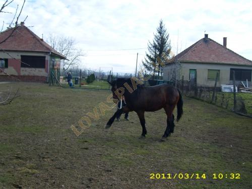 LovasPiac.hu