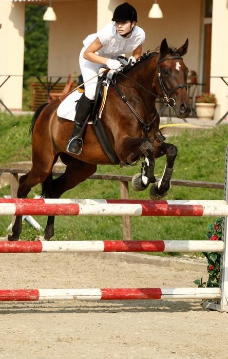 LovasPiac.hu