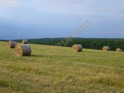 LovasPiac.hu