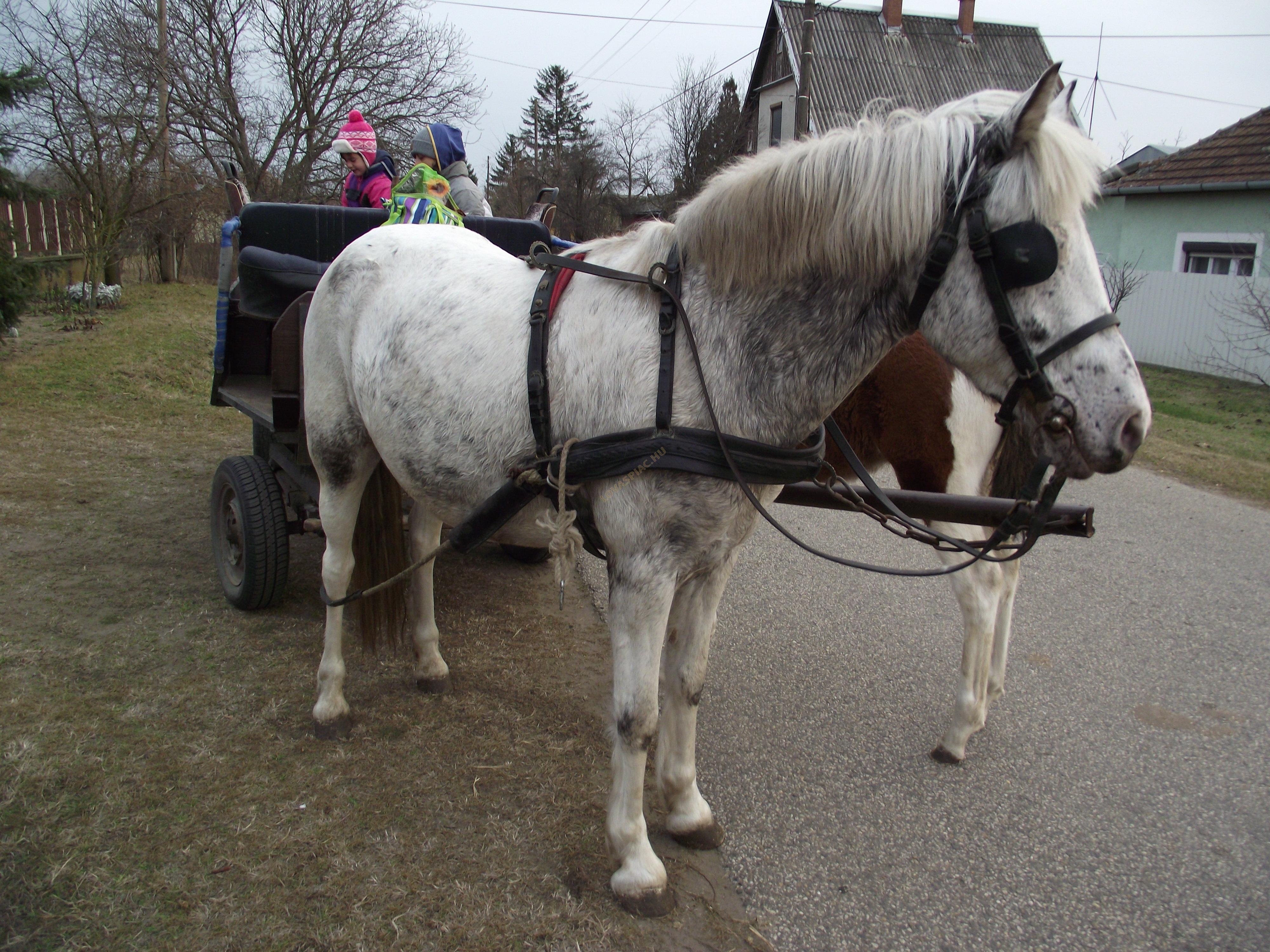 LovasPiac.hu