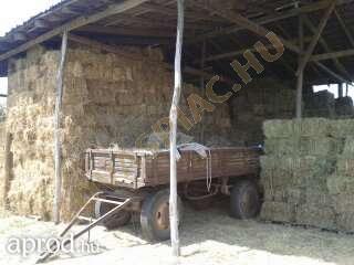LovasPiac.hu