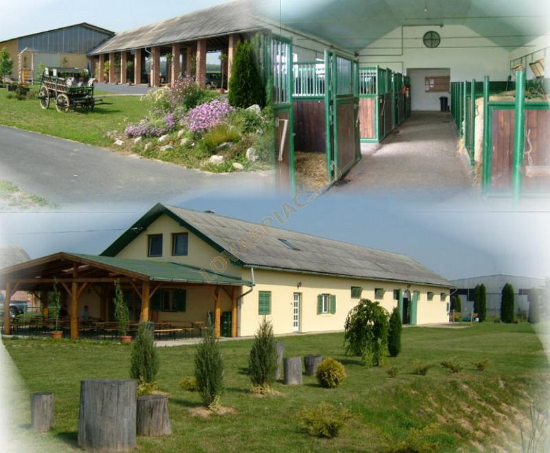 LovasPiac.hu