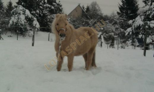 LovasPiac.hu