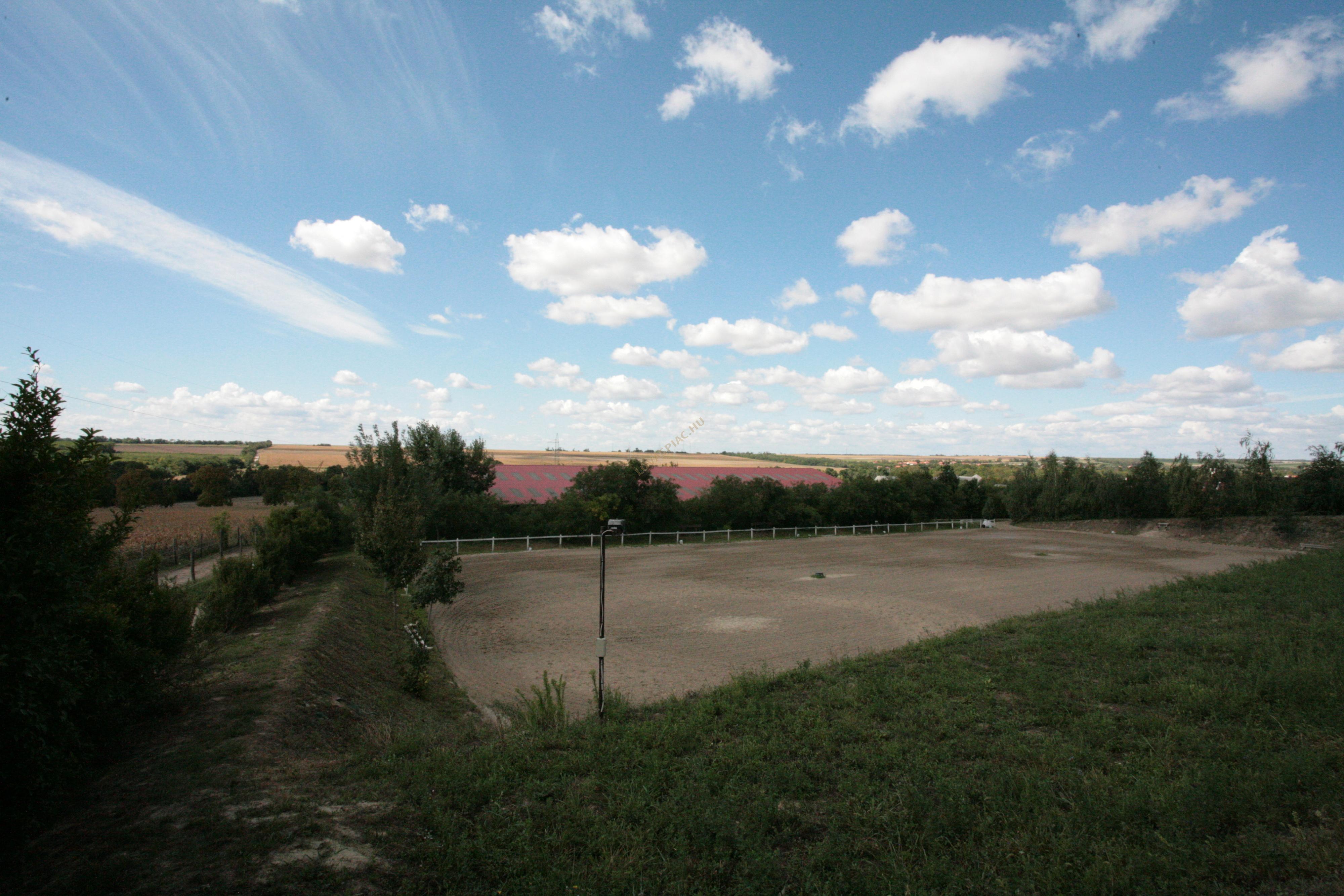 LovasPiac.hu