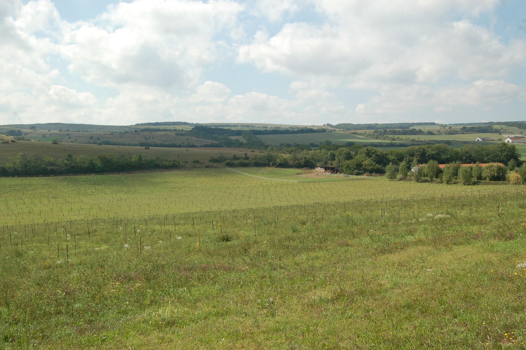 LovasPiac.hu