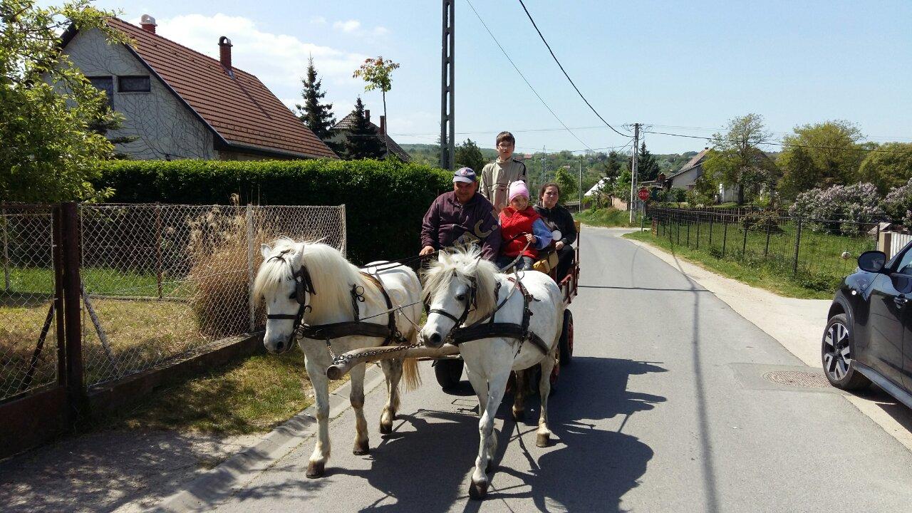 LovasPiac.hu