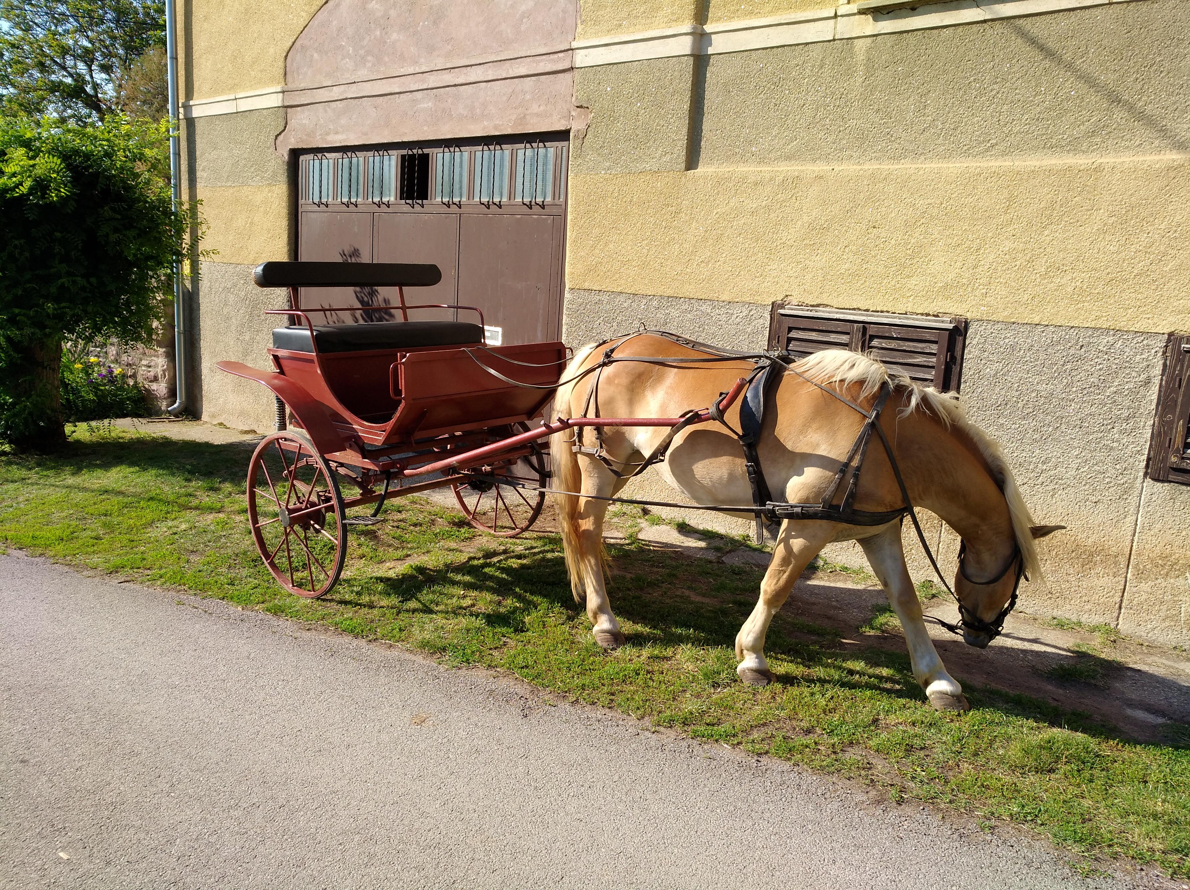 LovasPiac.hu