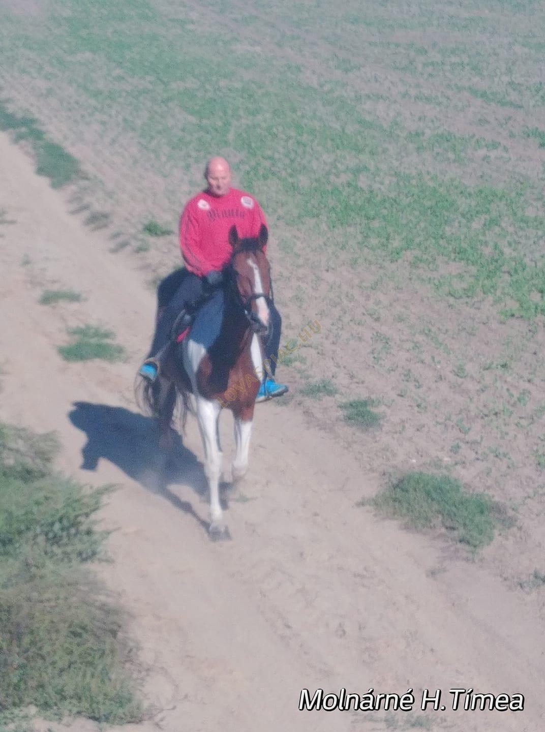 LovasPiac.hu