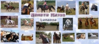 K�p
