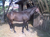 K�p