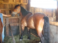 K�p