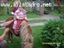 K�p