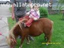 K�p