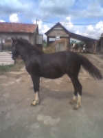 K�p