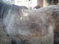 K�p