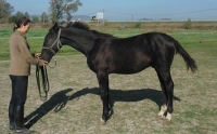 K�p